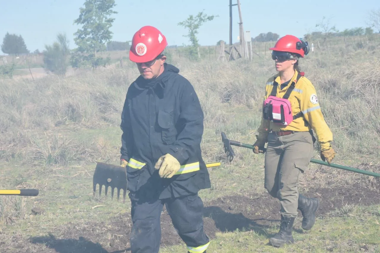 246e79f2-ffbe-4fe6-a44a-c542c0492267