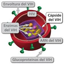 Vih-sida