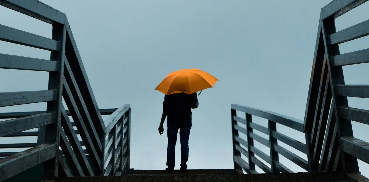 FDp8zU61M_1256x620__1 (1)