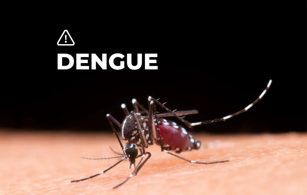 portada-DENGUE-1024x653