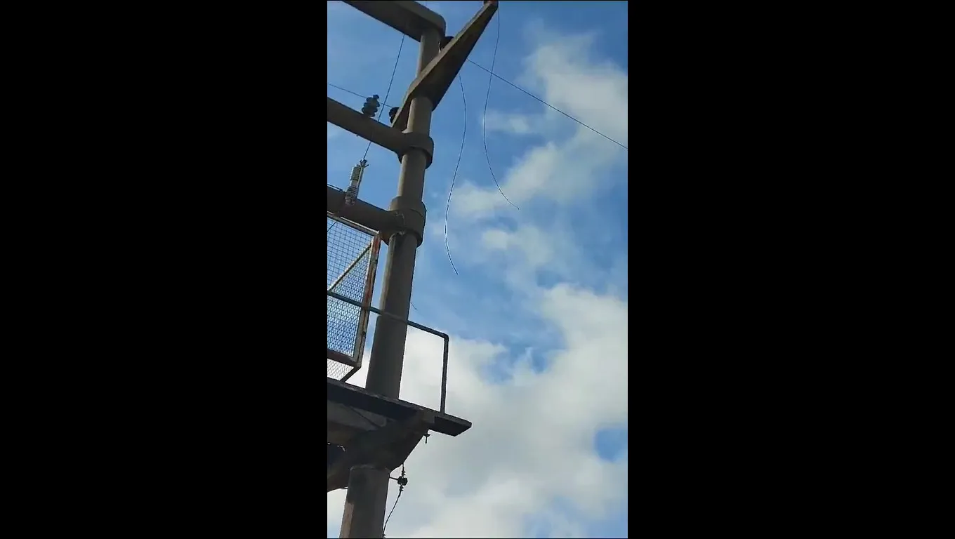 d9aee54d-6276-4cd5-9f76-13ab67972055