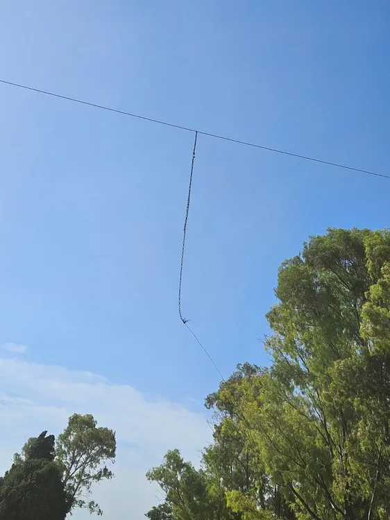 d9966e62-6d33-4821-9ea0-82c878a1a329