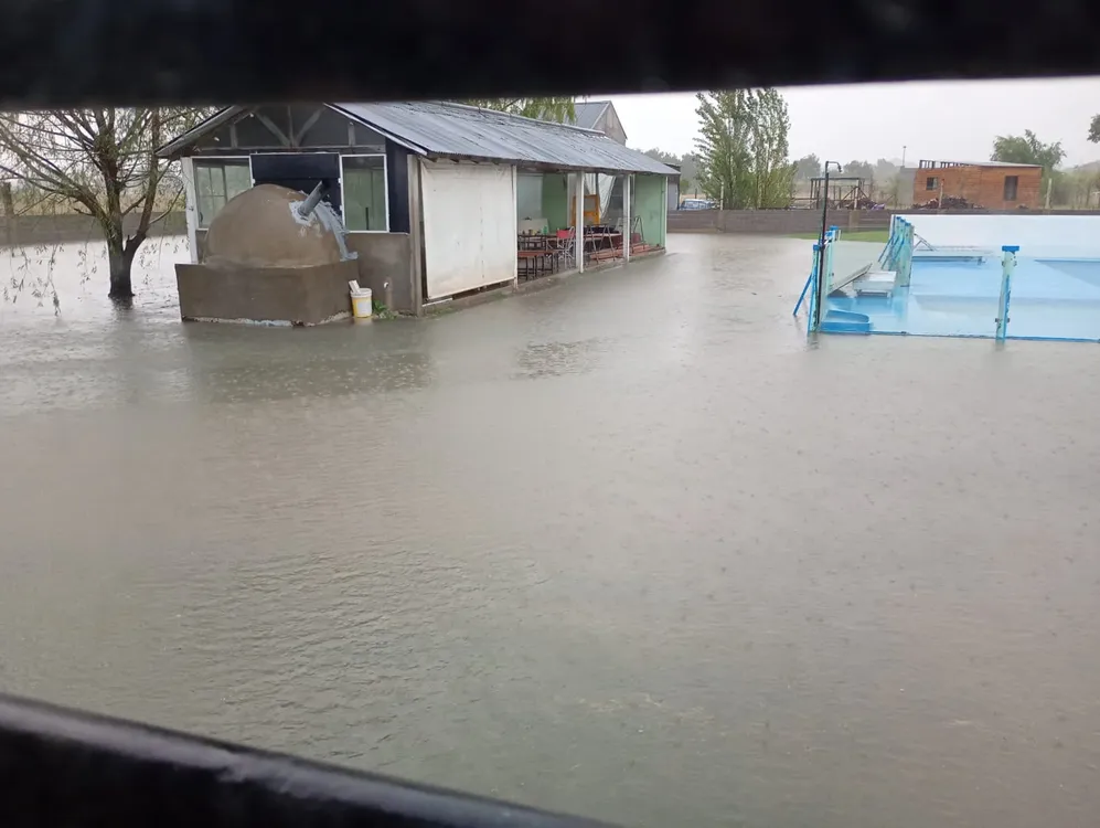 WhatsApp Image 2026-03-29 at 12.30.39 PM (1)