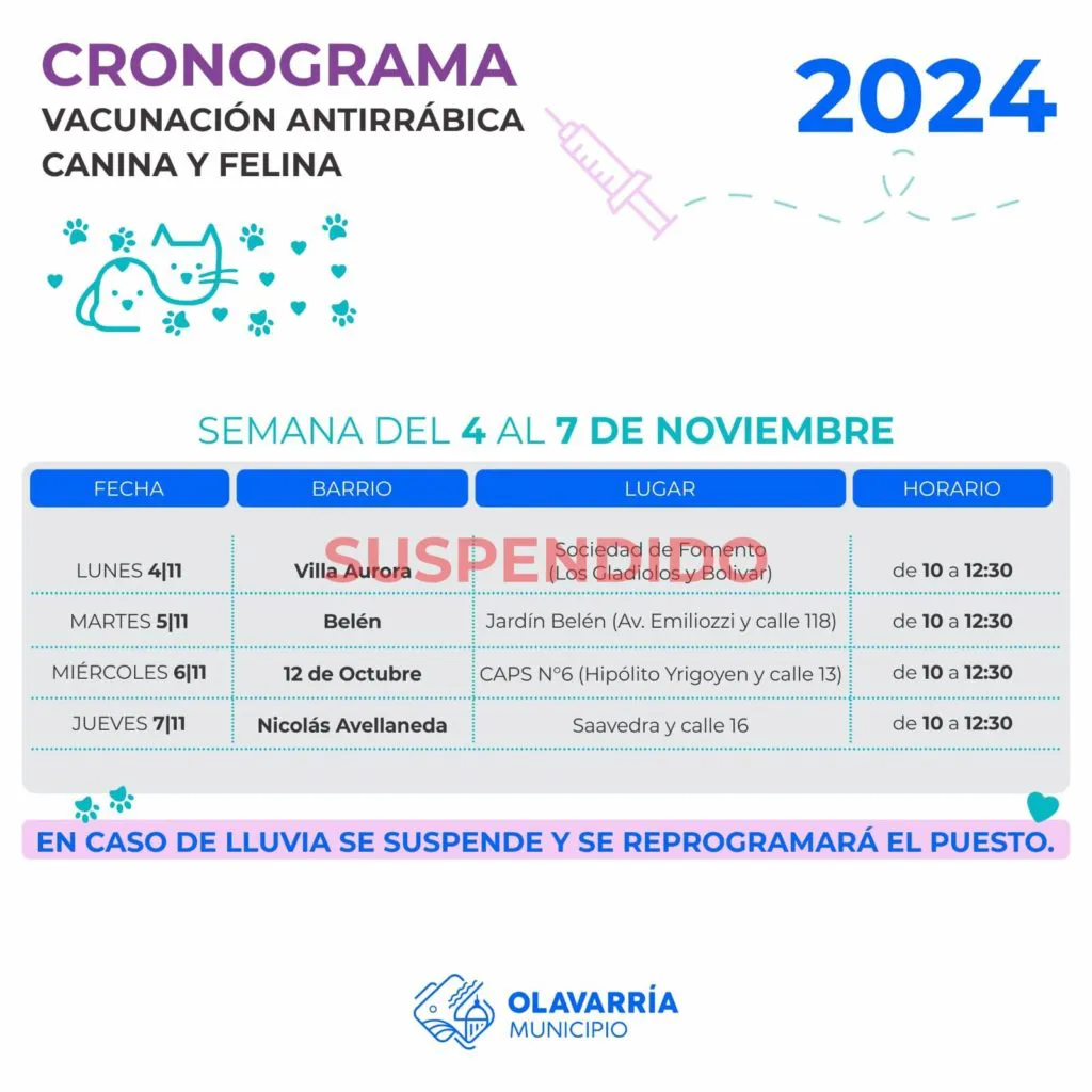 WhatsApp-Image-2024-11-04-at-07.56.48-1024x1024