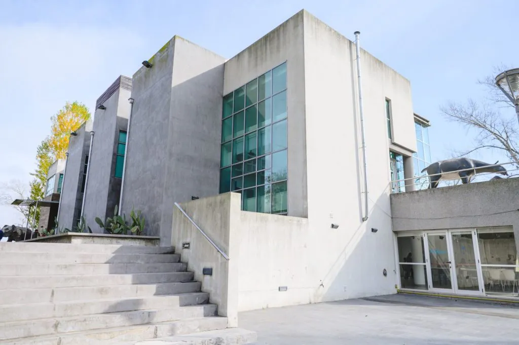 Museo-de-Ciencias-1024x681 (4)